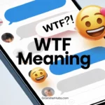 WTF Mean in Text