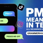 pmo mean in text