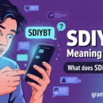 SDIYBT Mean in Text