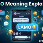 lamo meaning