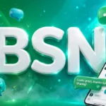 BSN meaning in texting